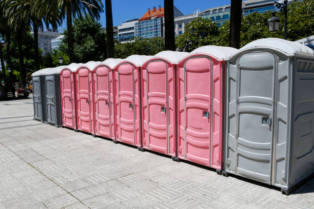 Best Portable Toilets with Baby Changing Stations  in Parks, AZ